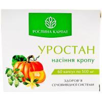Уростан Насіння кропу Рослина Карпат для здоровя сечовивідної системи